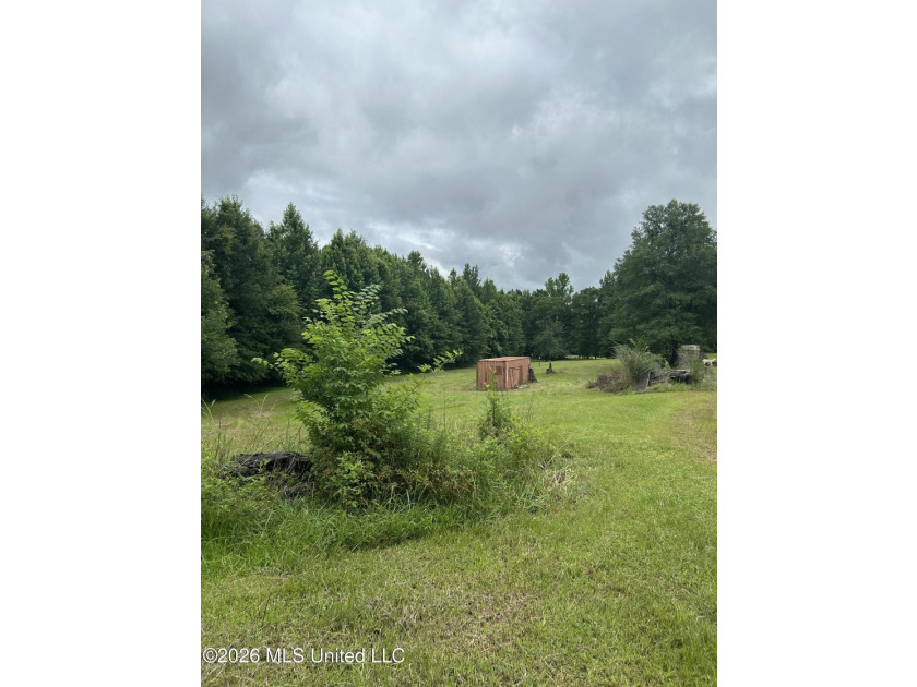 Perfect get away! 31 acres of fun for you. Hunting or fish in - photo 40