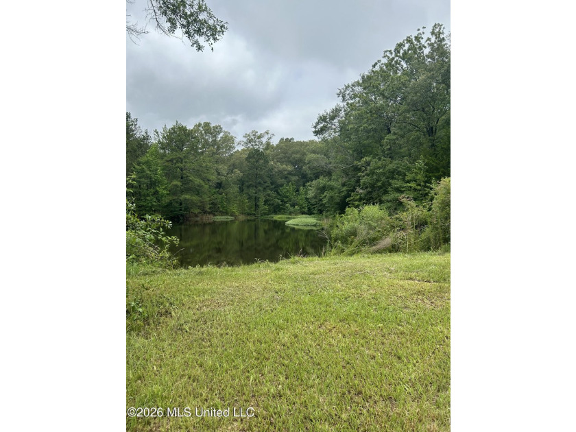Perfect get away! 31 acres of fun for you. Hunting or fish in - photo 41