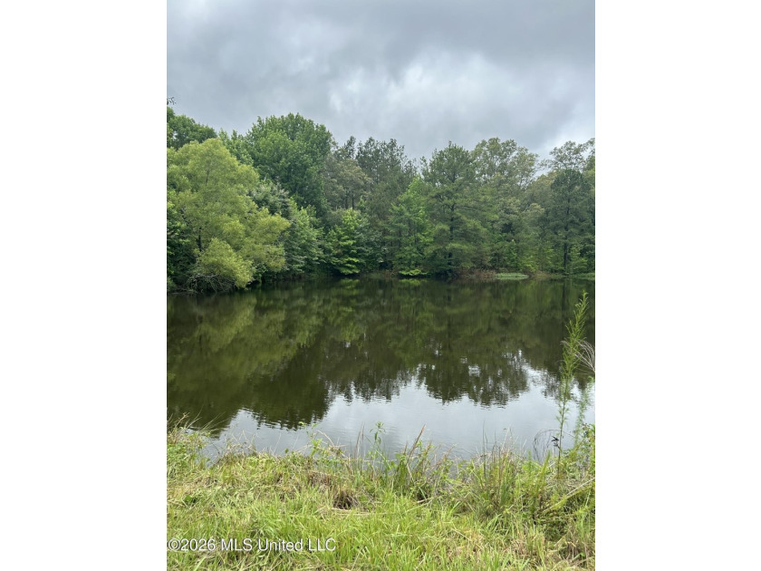 Perfect get away! 31 acres of fun for you. Hunting or fish in - photo 43