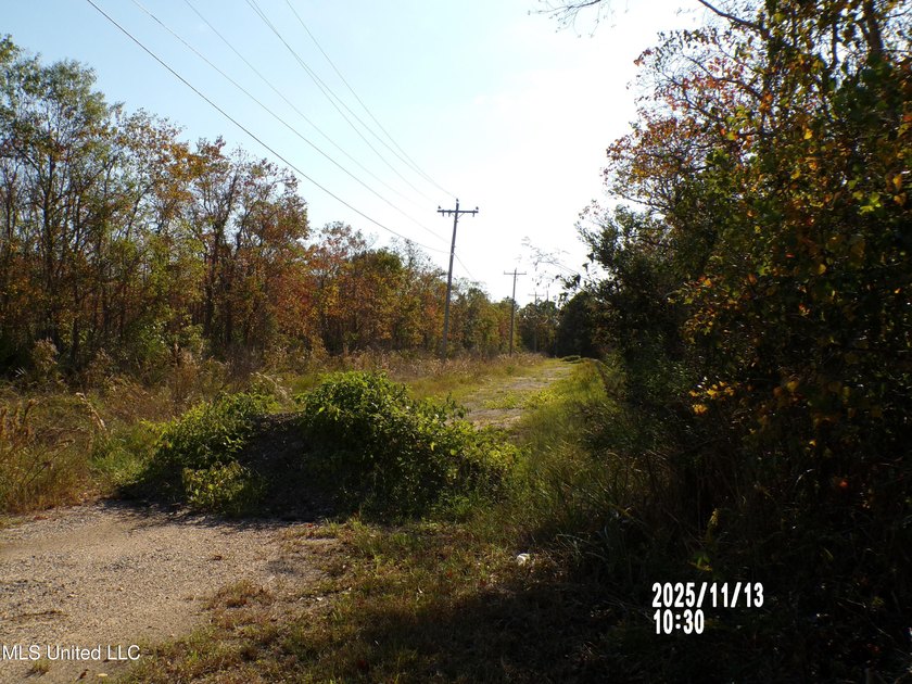 Three Consolidated Lots in Shoreline Park Subdivision ready for - photo 4