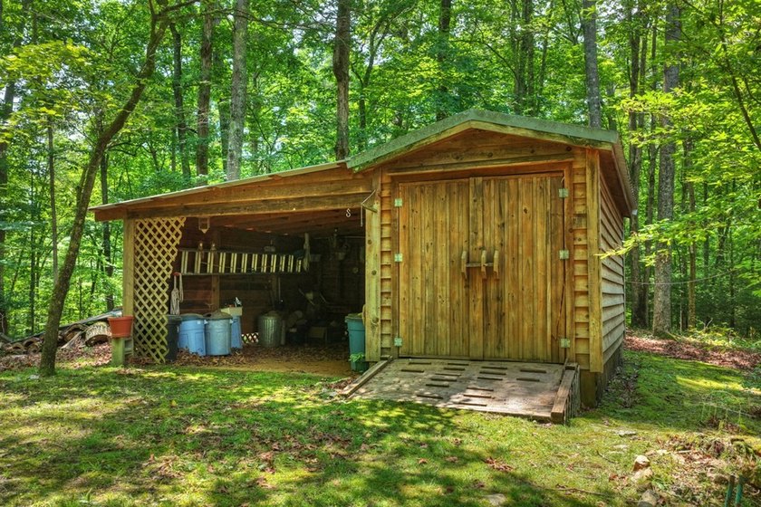 Charming cottage home nestled on nearly 7 private wooded acres - photo 4