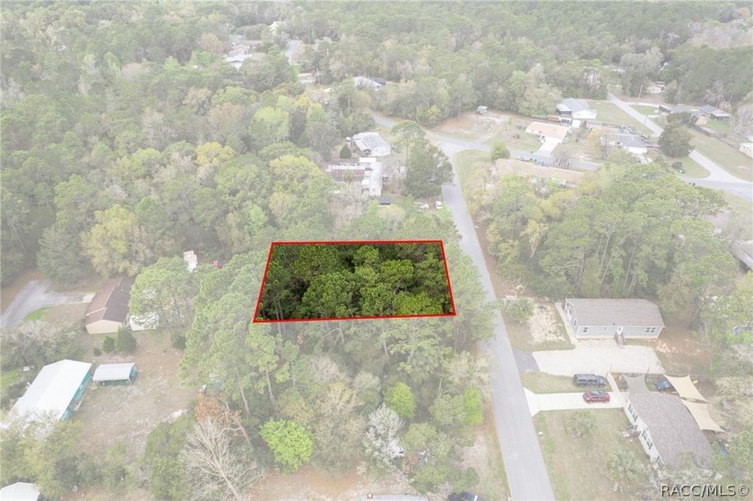 Two buildable lots for the price of one, with the option to - photo 11