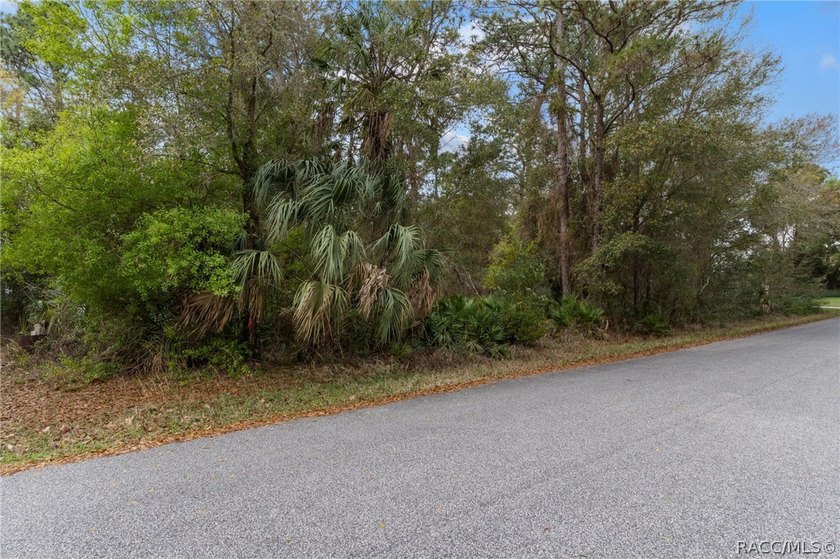 Two buildable lots for the price of one, with the option to - photo 17