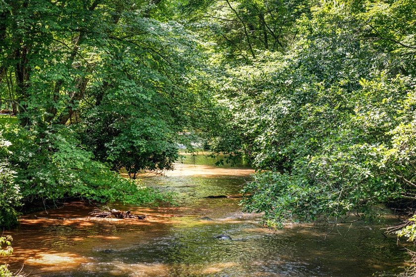 FIGHTINGTOWN CREEK + MCCLURE CREEK FRONTAGE. Opportunities like - photo 10