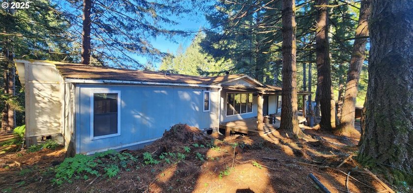 Unlock the potential of this 5.5-acre Brookings property - photo 11
