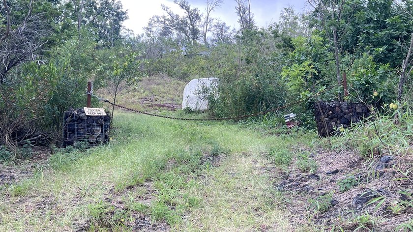 3 adjacent wooded 1-acre parcels for sale. MUST be sold together - photo 2