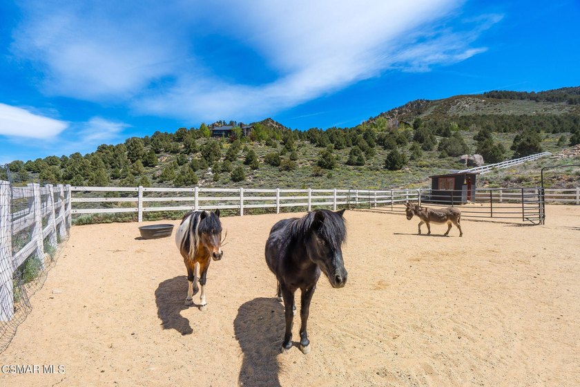 An Extraordinary Mountain Ranch In The Heart Of The Eastern - photo 45