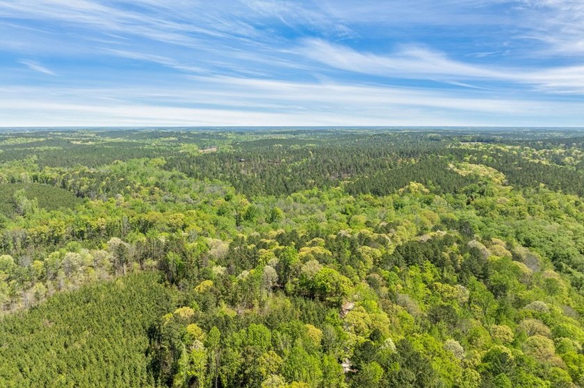 Discover the perfect blend of seclusion, natural beauty and - photo 3