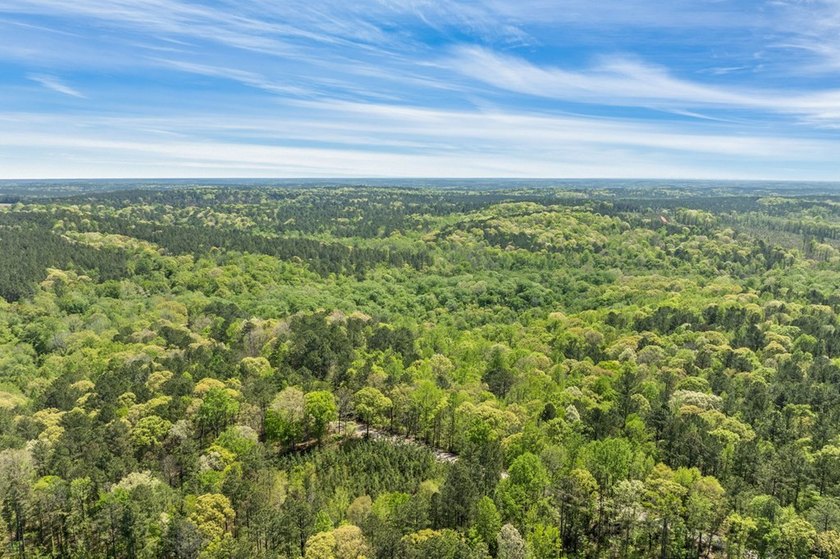 Discover the perfect blend of seclusion, natural beauty and - photo 5