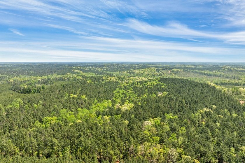 Discover the perfect blend of seclusion, natural beauty and - photo 7
