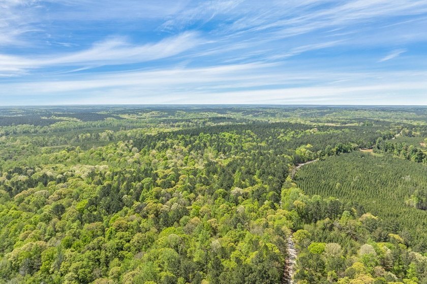 Discover the perfect blend of seclusion, natural beauty and - photo 8