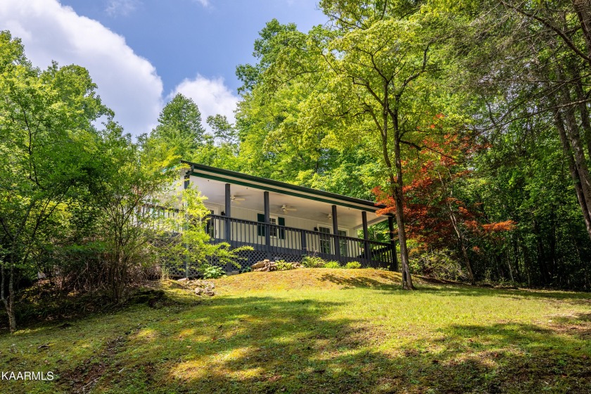 164 Rainbow Dock Lane, Lafollette, TN 37766, 3958787