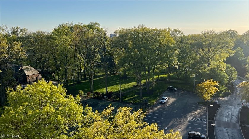 The Meridian, located on the south shore of Lake Erie, offers - photo 43