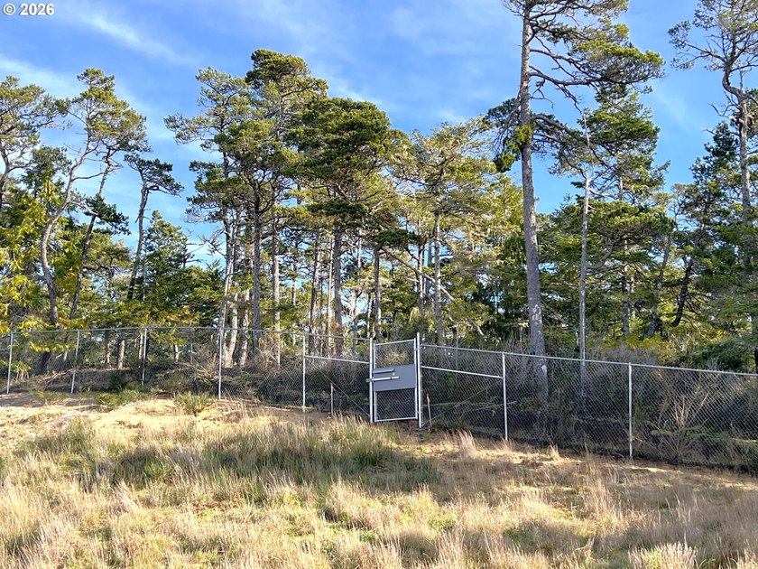 Welcome to THE LAKES, a brand-new gated community offering 15 - photo 22