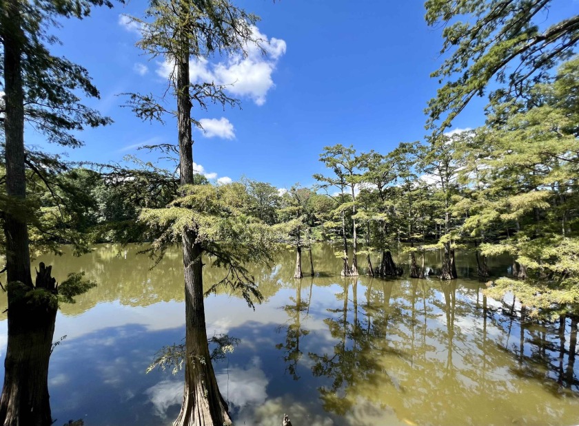 543 CHISHOLM LAKE CAMP, Ripley, TN 38063, 3078785