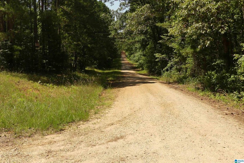 LOT 2 WARREN ROAD OFFERS A NICE BUILDING LOT WITH A MILD SLOPE - photo 3