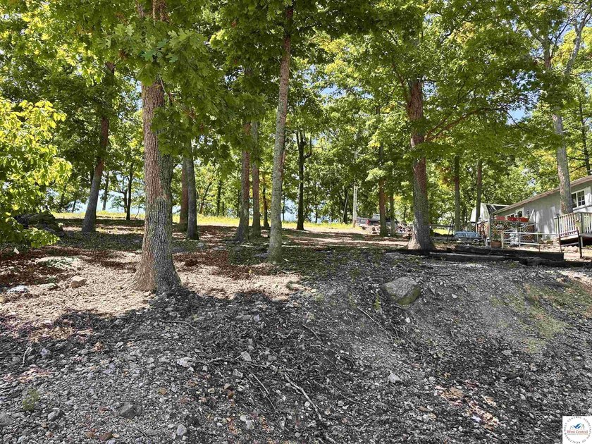 Located on a quiet cove on the Lake of the Ozarks in a very - photo 29