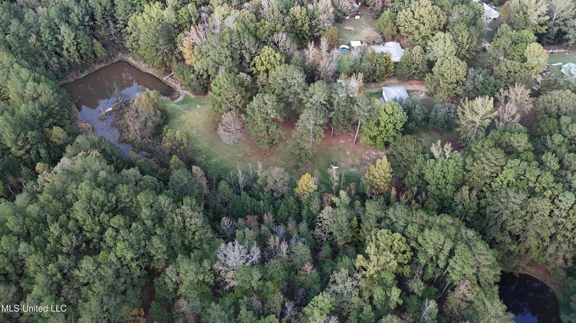 Looking for a few acres to build your dream home or cabin. This - photo 3
