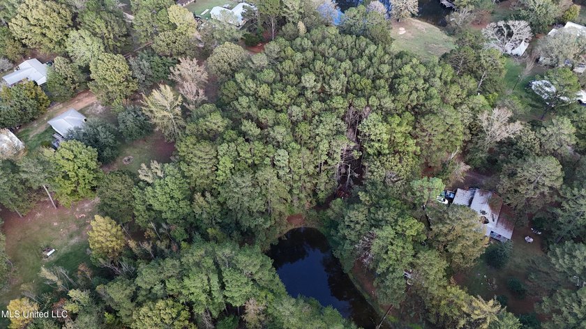Looking for a few acres to build your dream home or cabin. This - photo 4