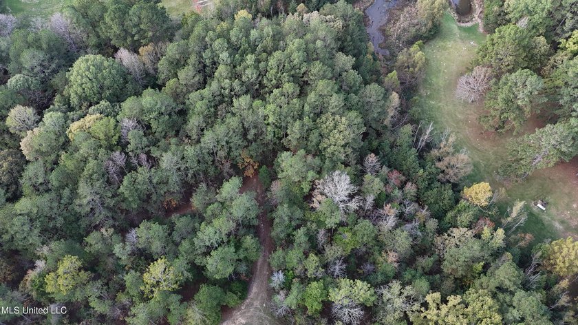 Looking for a few acres to build your dream home or cabin. This - photo 5
