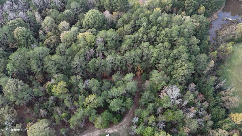 Looking for a few acres to build your dream home or cabin. This - photo 6