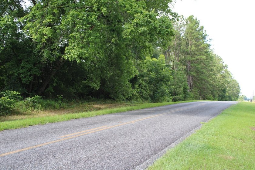 Reduced price!!!!!!!!! Beautiful large lot on 1.49 acres, just - photo 7