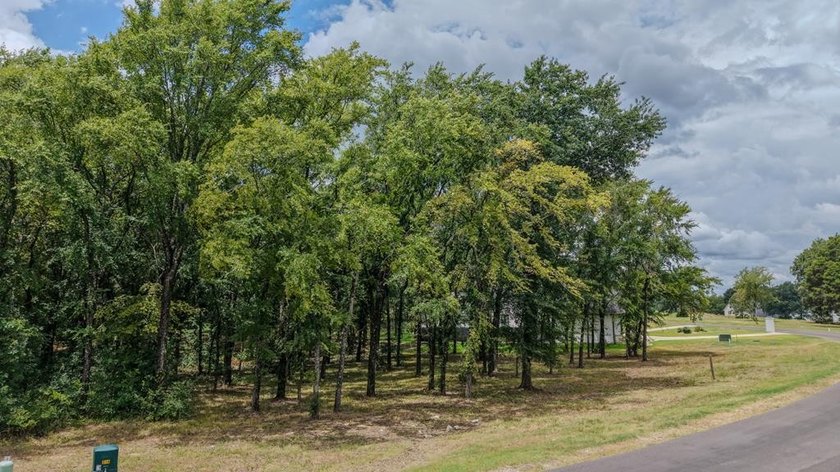 71 acre lot in newer gated community on Cedar Creek Lake with - photo 16