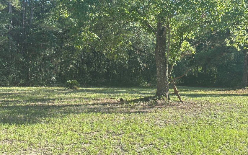 ENDLESS POSSIBILITIES! Seller willing to help with closing costs - photo 10