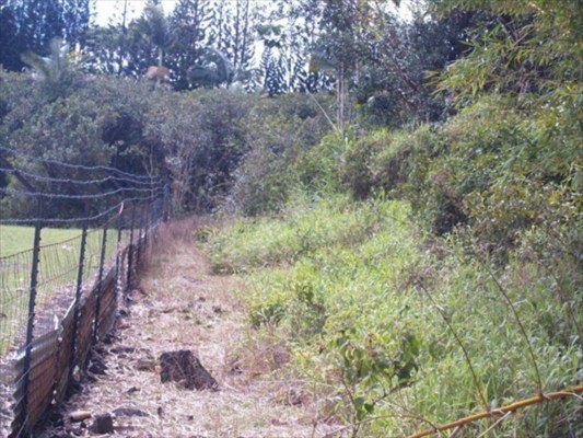 Do you want to create your own private, in-town sanctuary? - photo 7