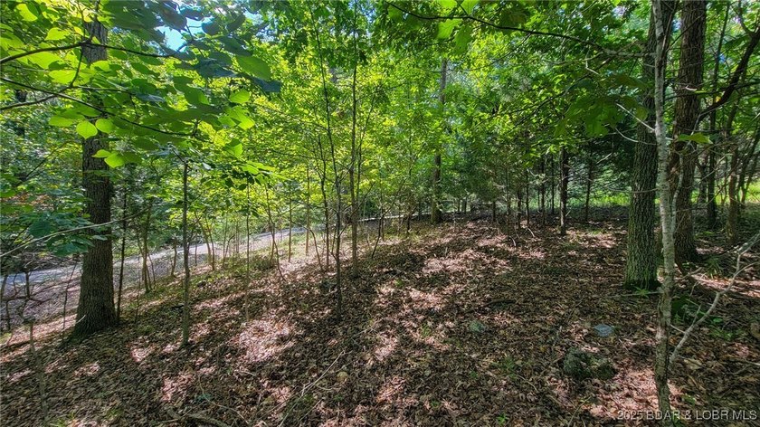Nestled within the picturesque beauty of Porto Cima, this - photo 12