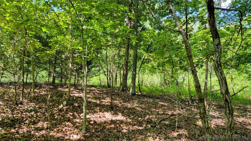 Nestled within the picturesque beauty of Porto Cima, this - photo 15