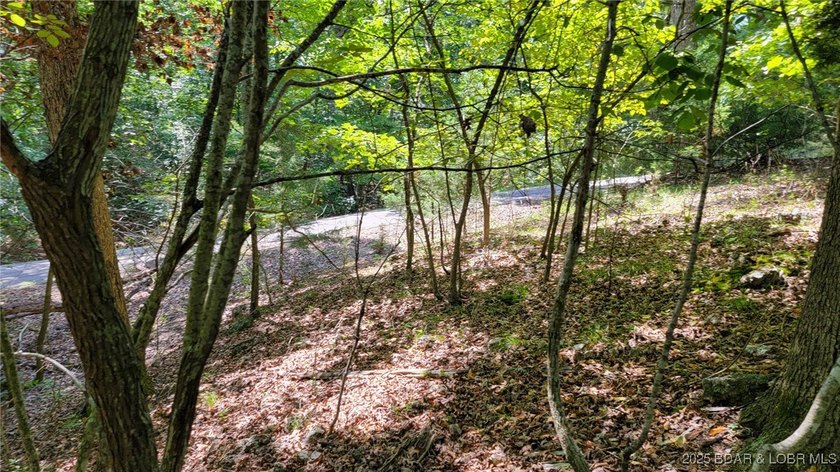 Nestled within the picturesque beauty of Porto Cima, this - photo 16