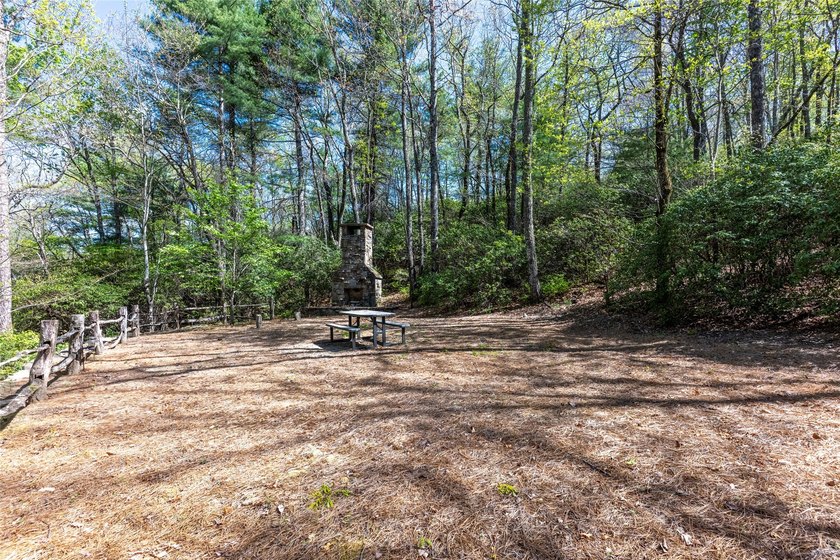 A private mountain estate property nestled on Hawk Mountain with - photo 44