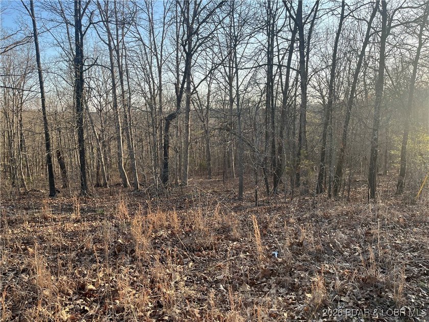 This Great Location 6.65 acre tract of land is conveniently - photo 15
