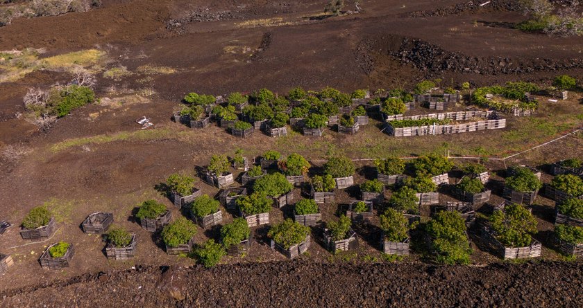 Commercial-Zoned Tropical Farm with Dual-Living Home &amp; Highway - photo 9