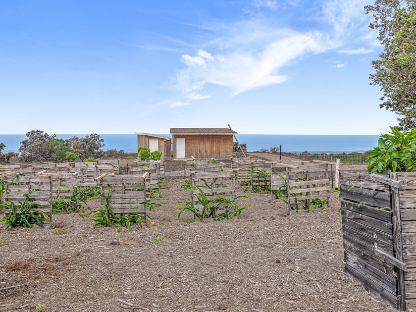 Owner Financing! Island Home with Established Dragon Fruit Farm - photo 4