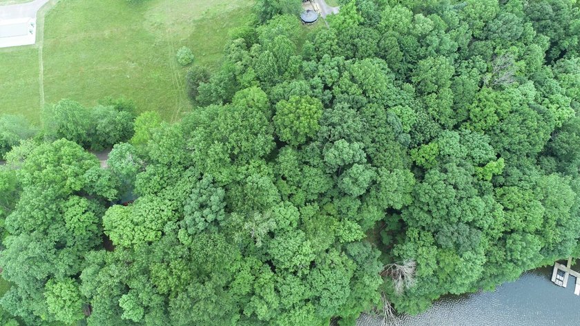 Now might be the time to take advantage of this property - photo 3