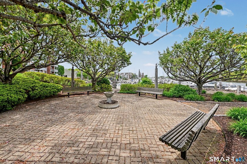 Welcome to 43 Harbor Drive in beautiful Shippan, where coastal - photo 24