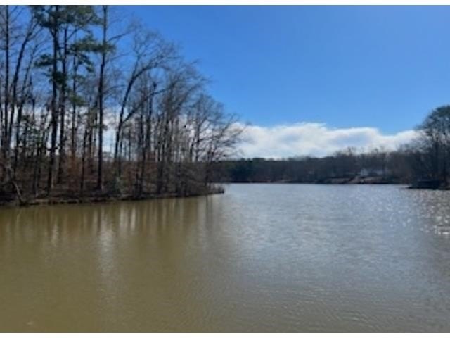 Discover serene lakefront living on this beautiful 1.66-acre lot - photo 3