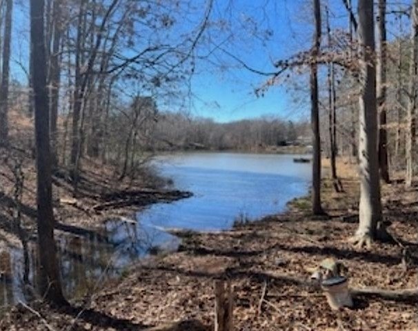 Discover serene lakefront living on this beautiful 1.66-acre lot - photo 4