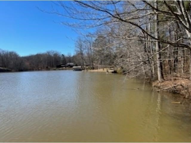 Discover serene lakefront living on this beautiful 1.66-acre lot - photo 5