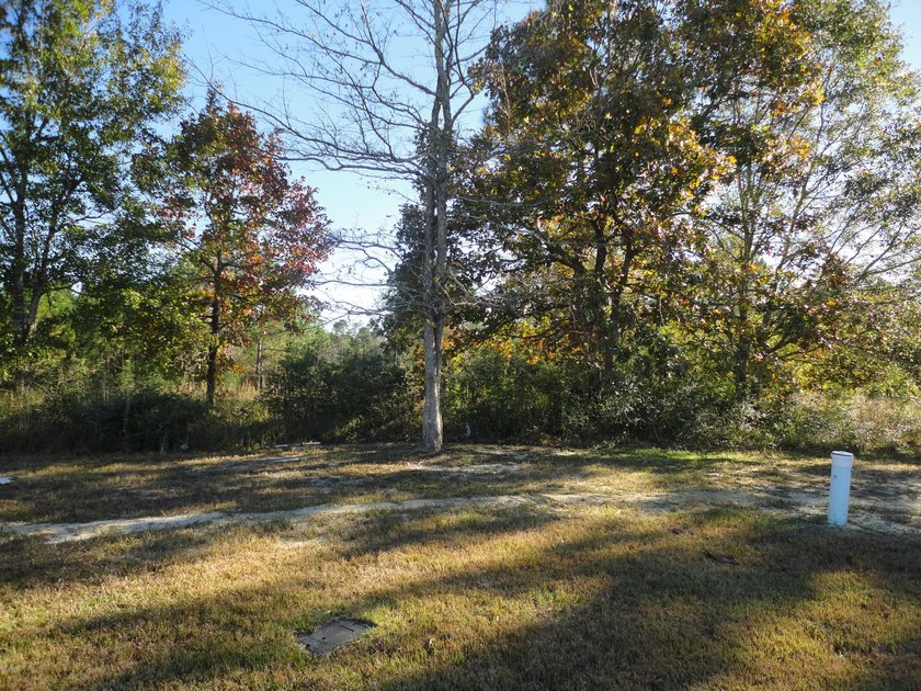 This Lot is ready for your dream home to be built here - photo 3