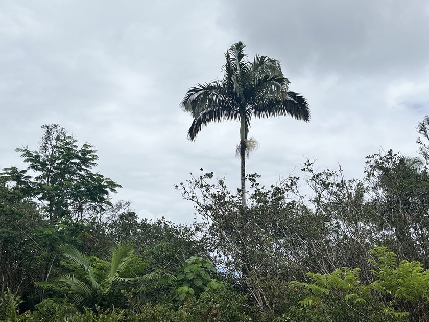 Beautiful opportunity to build your Island dream! Three - photo 8