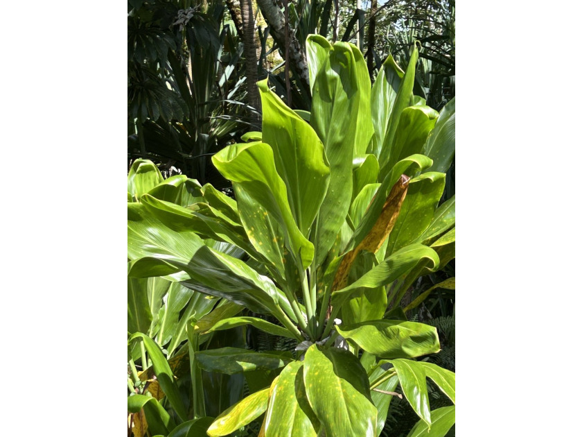 12,253 sq ft land in always desirable Hawaiian Shores. Located - photo 3