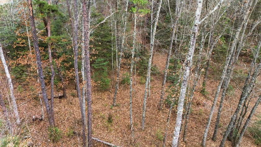 Embrace the mountain river lifestyle in the sought-after - photo 20