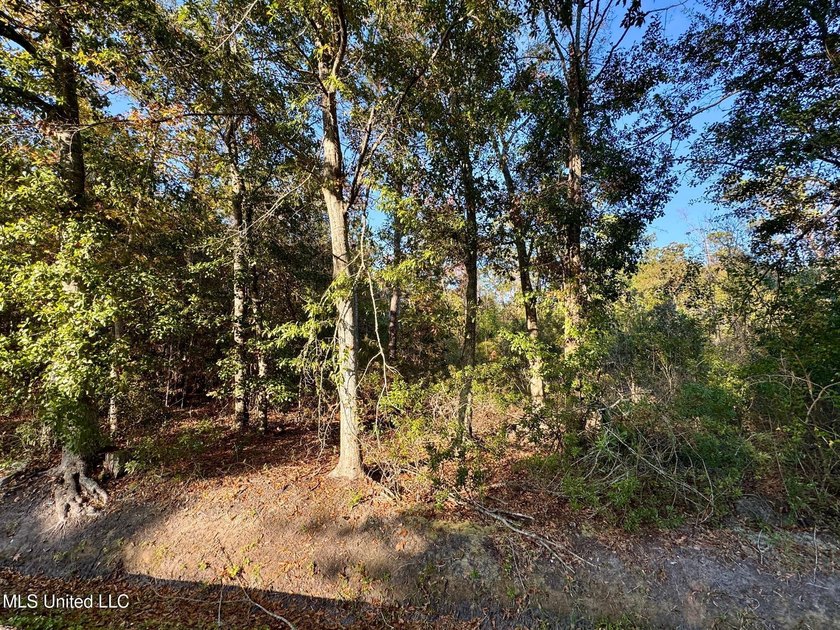 High elevation lot on a dead end street in the heart of Bay St - photo 2