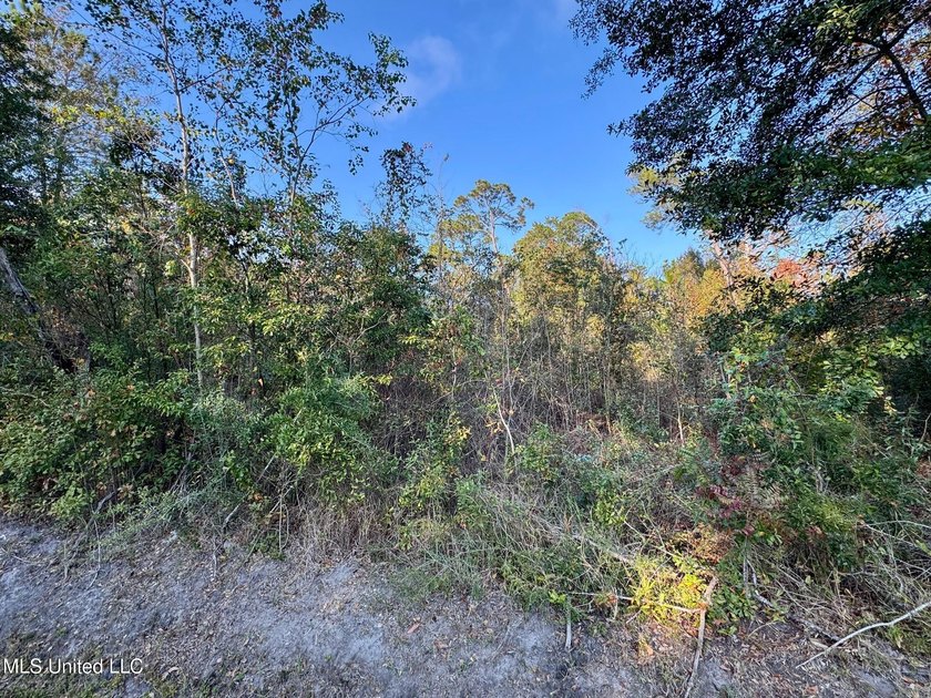 High elevation lot on a dead end street in the heart of Bay St - photo 4