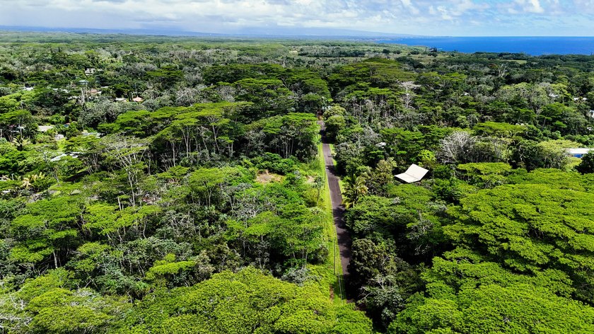Discover the ideal setting for your tropical dream home or - photo 7