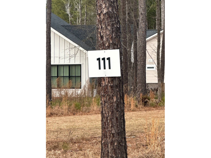 Stewart Landing offers beautiful lake views, low country - photo 12