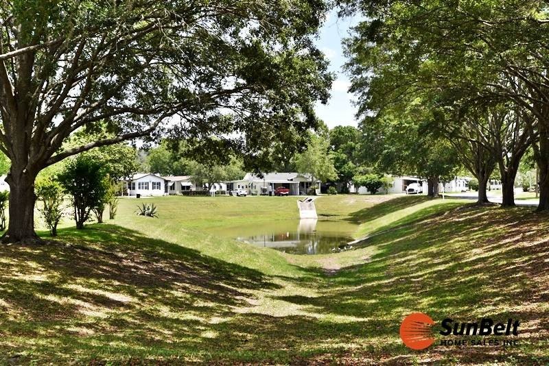 Beautifully Remodeled, Light-Filled Home in Premier 55+ Ocala - photo 4